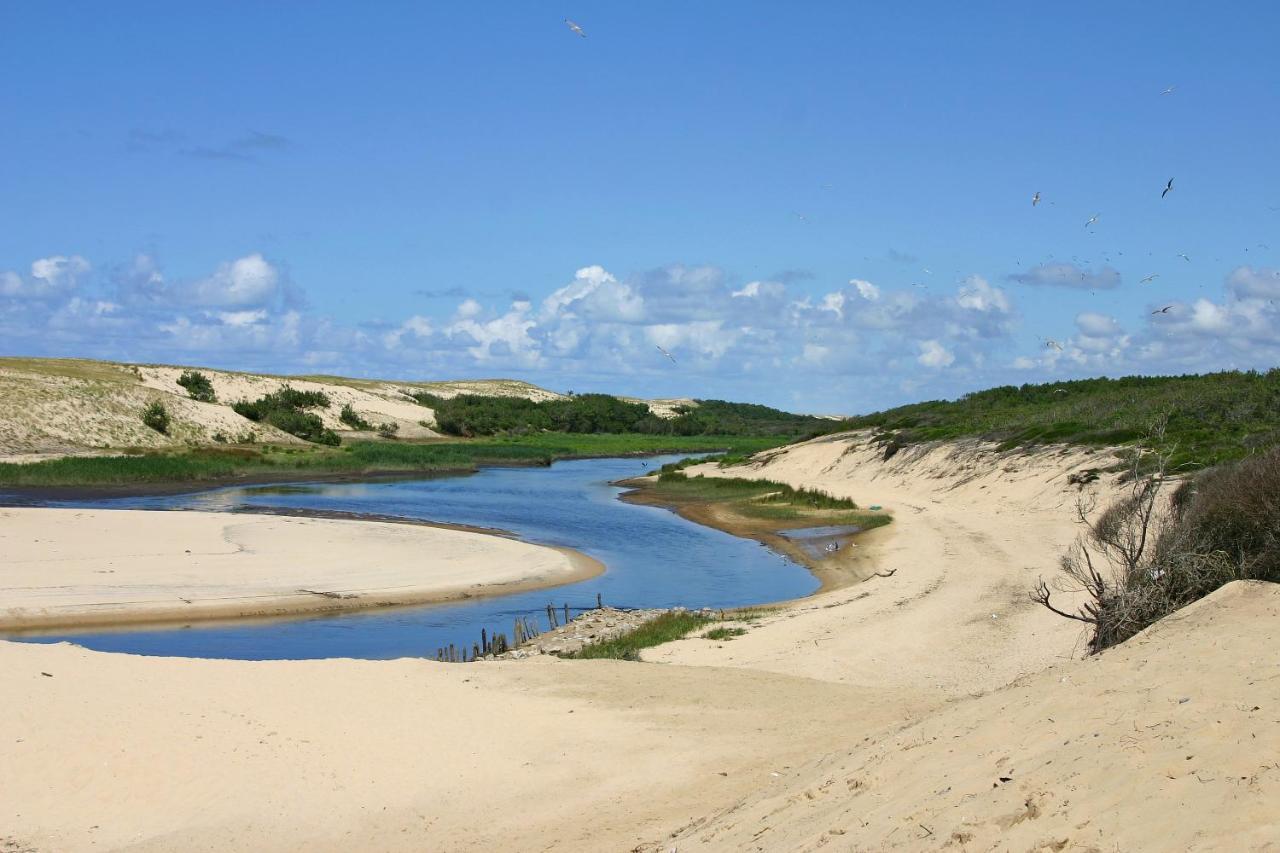 Le Hameau Des Vagues 4-5 Pers Piscines Et Nature A Moliets Экстерьер фото